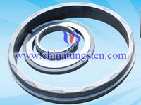 Silicon Carbide Seals Picture
